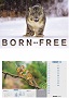 Born Free Wall. Born Free Wall.